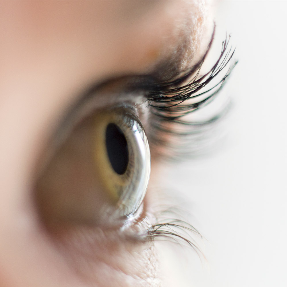 close-up of eye